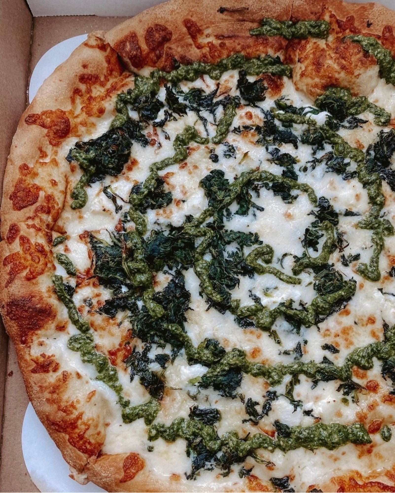 Bianca Pizza 12" Round