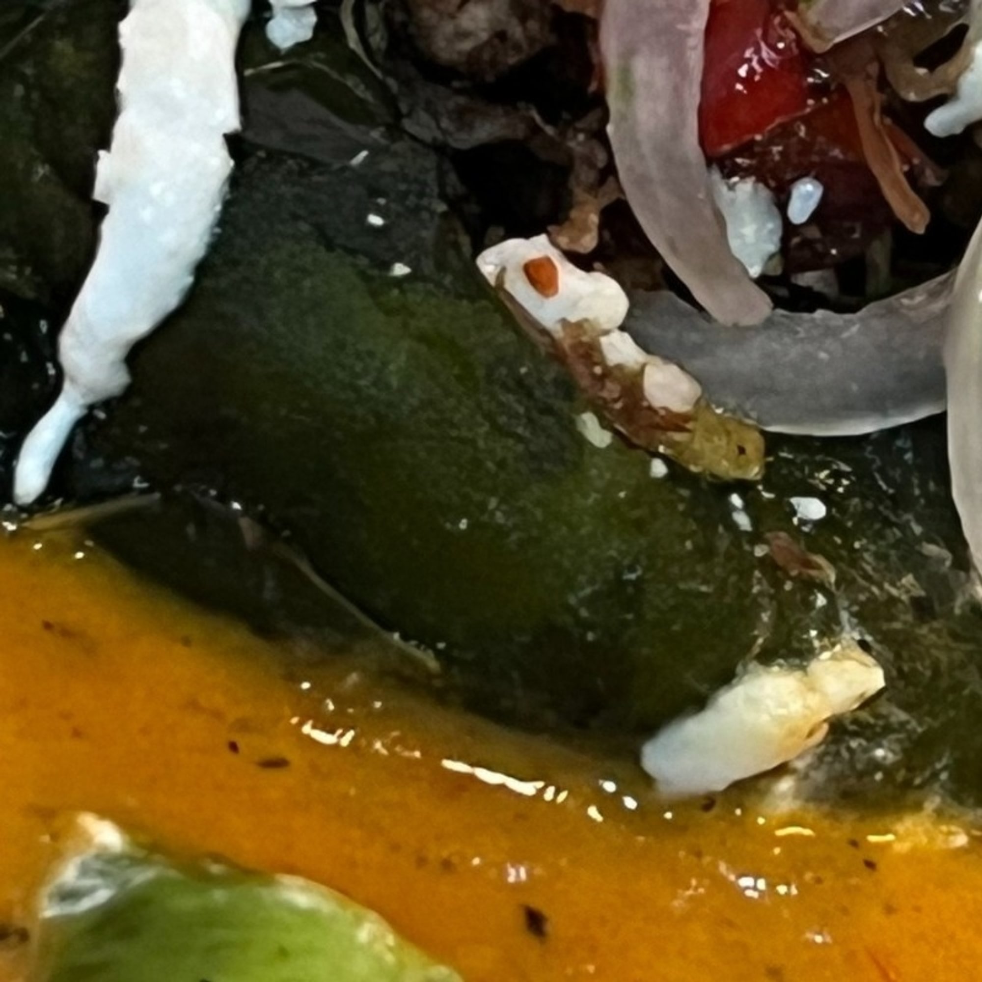 Naked Chile Relleno with Steak