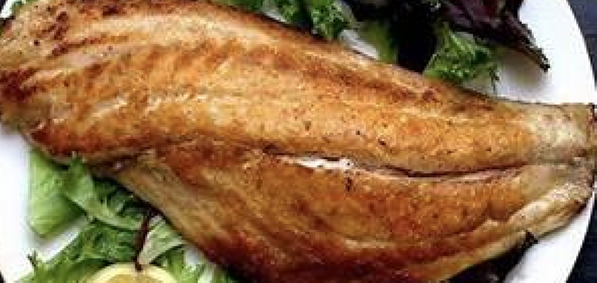 Snapper Filet