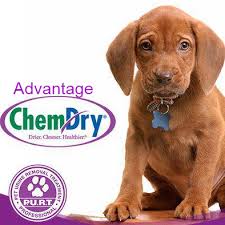 Advantage Chem-Dry Photo