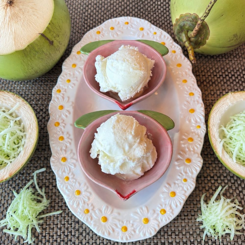 Coconut Ice Cream