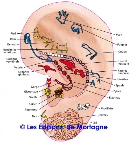 Images Réflexologie Sonia Aubut