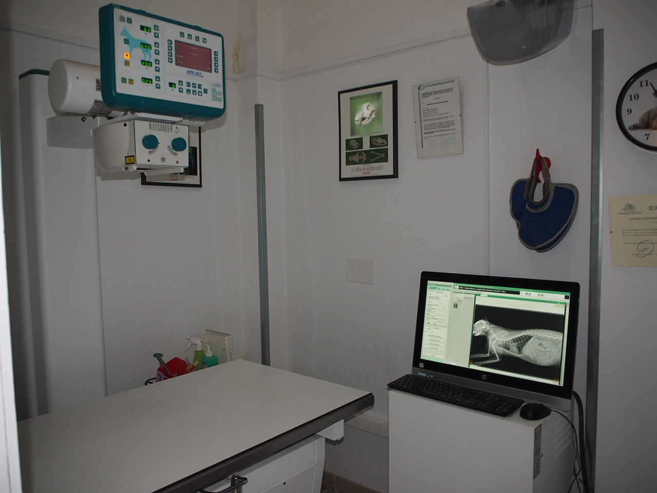 Galería en miniatura