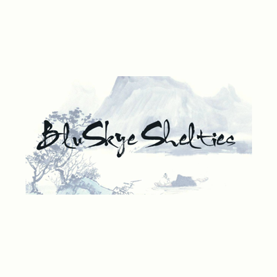 Bluskye Shelties