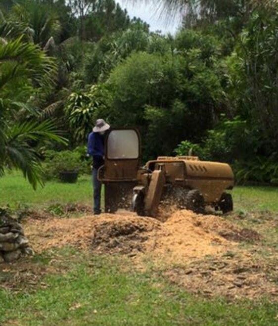 Stump removal in Jupiter Florida