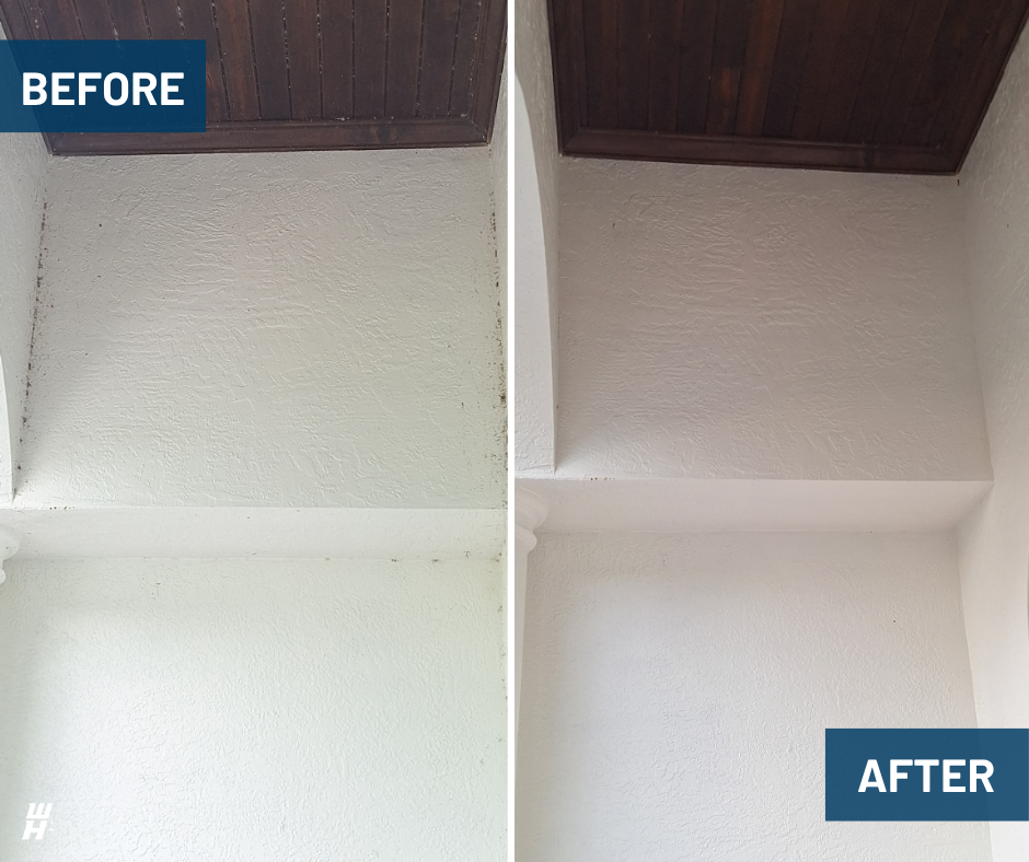 Window Hero Northern Tampa Image