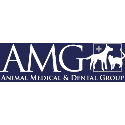 Animal Medical & Dental Group