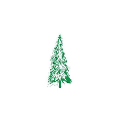 Denture Clinic Of Colorado