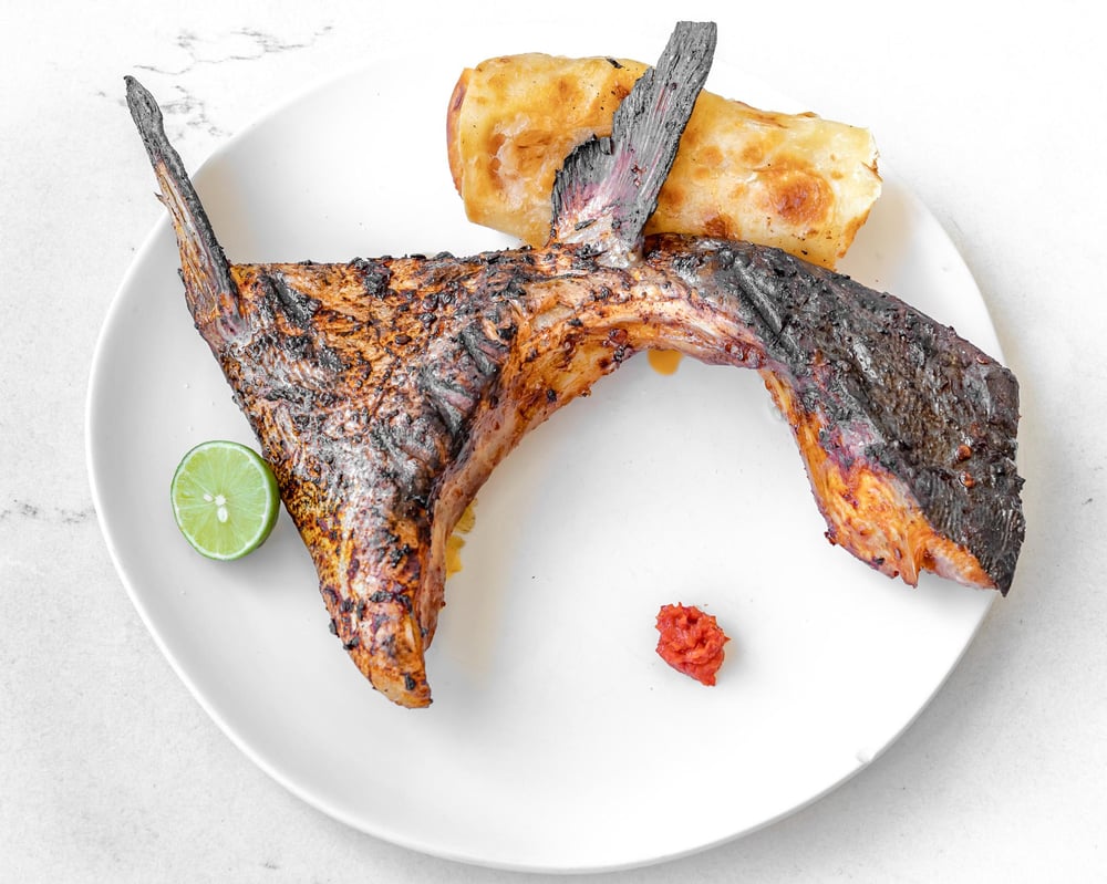 Adobado Hamachi Collar