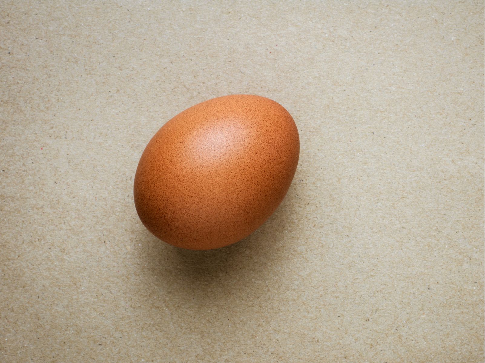 Xtra Egg