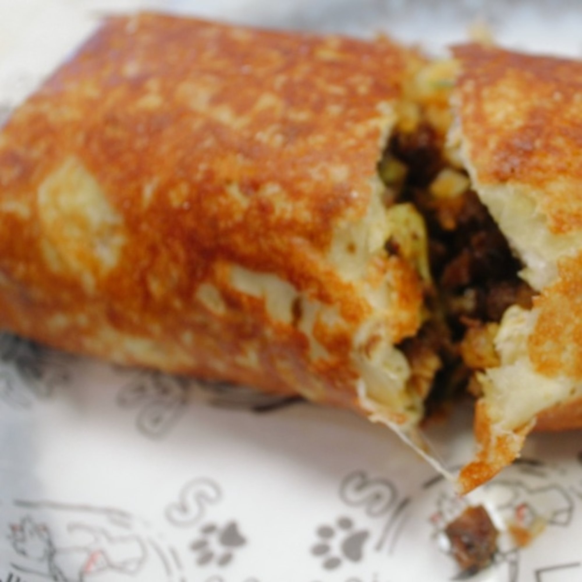 Dog House Burrito