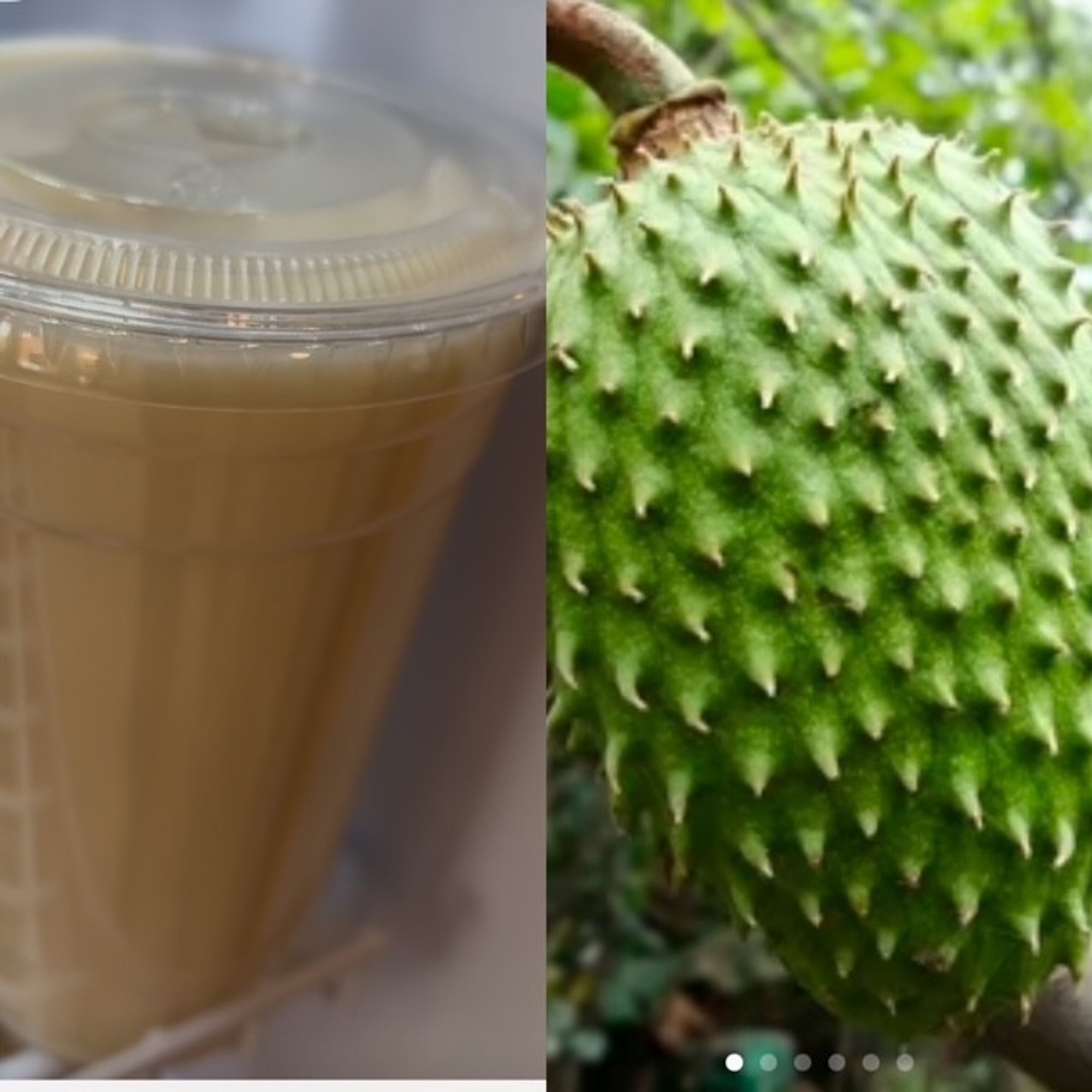 Soursop (Corossol)