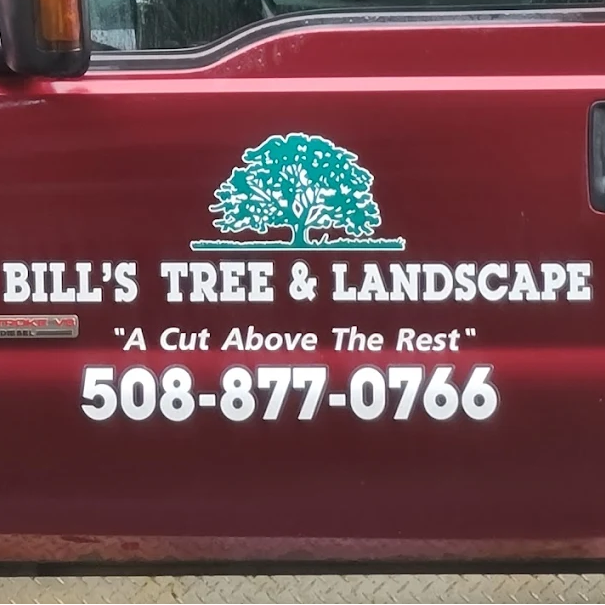Bill's Tree & Landscape