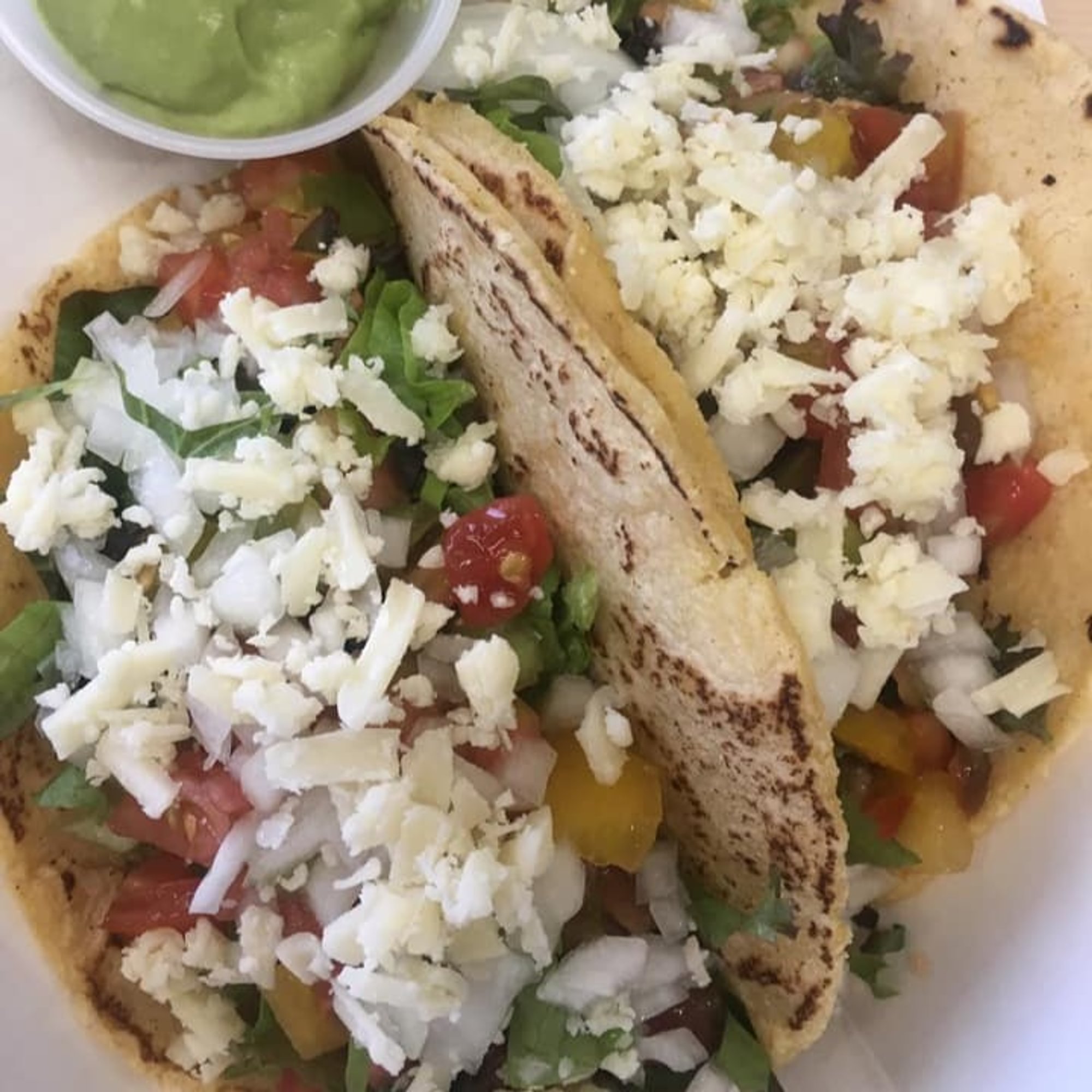 Gringo Tacos