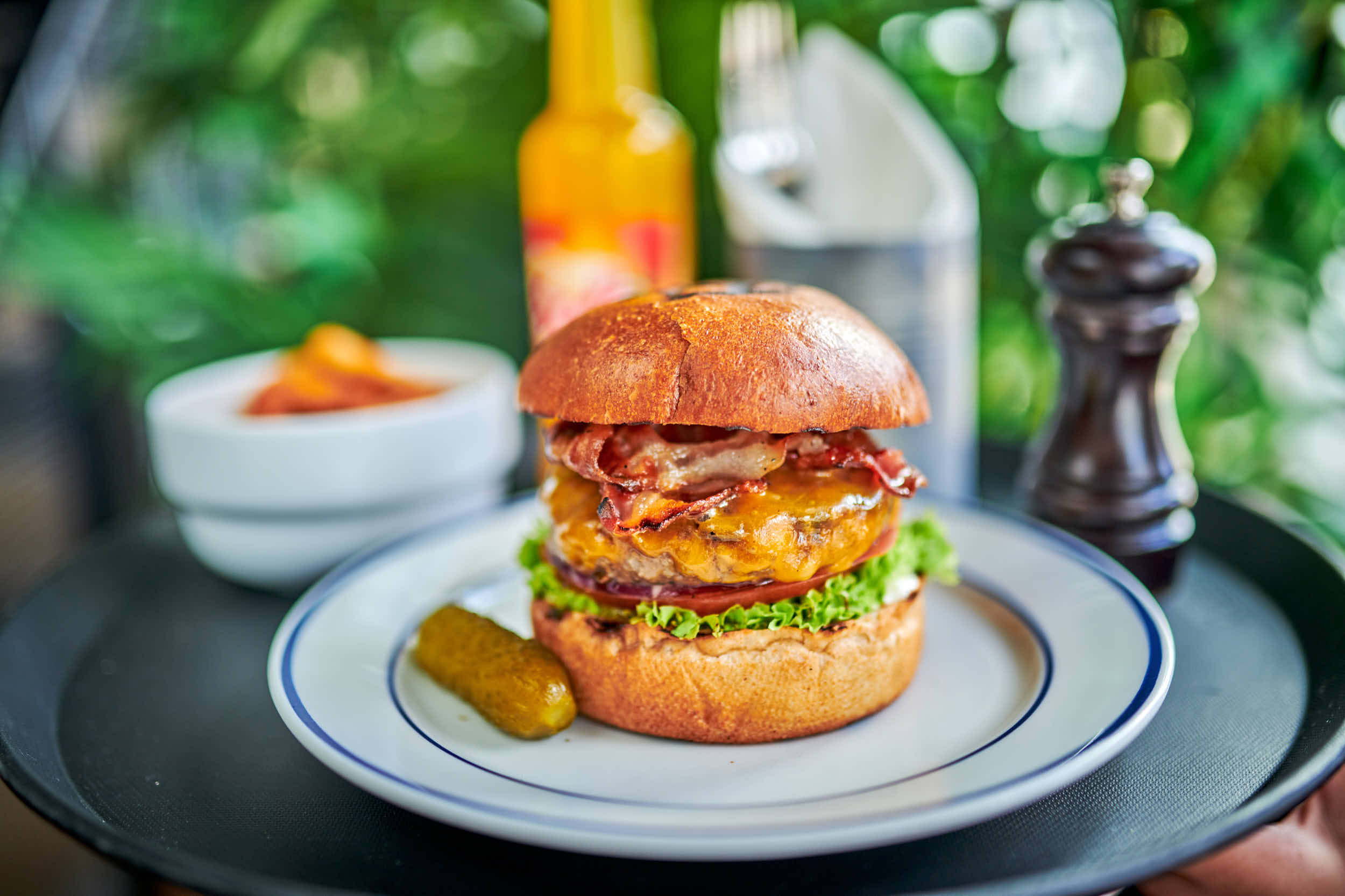 CHEDDAR & BACON
