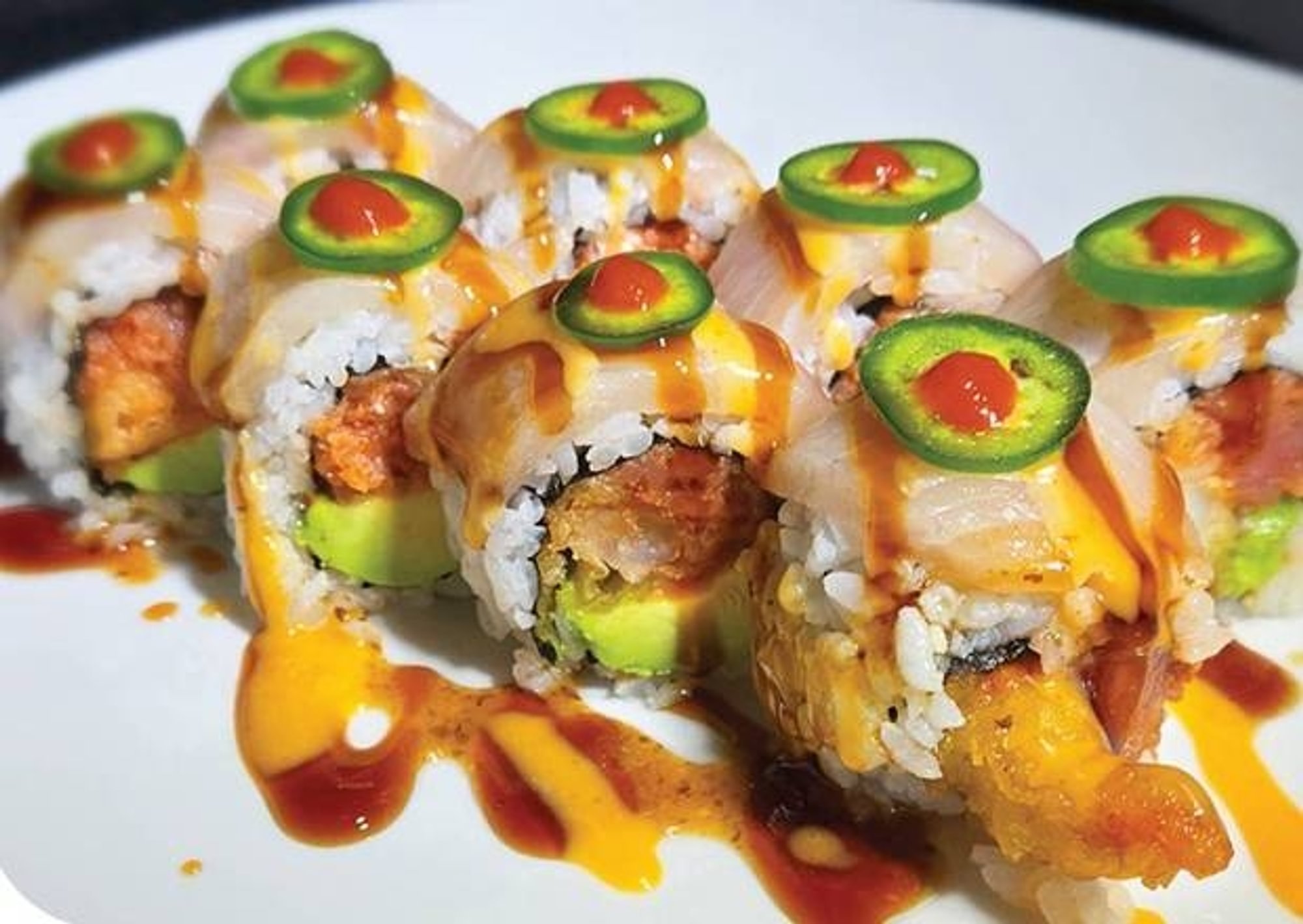 Baja Yellowtail