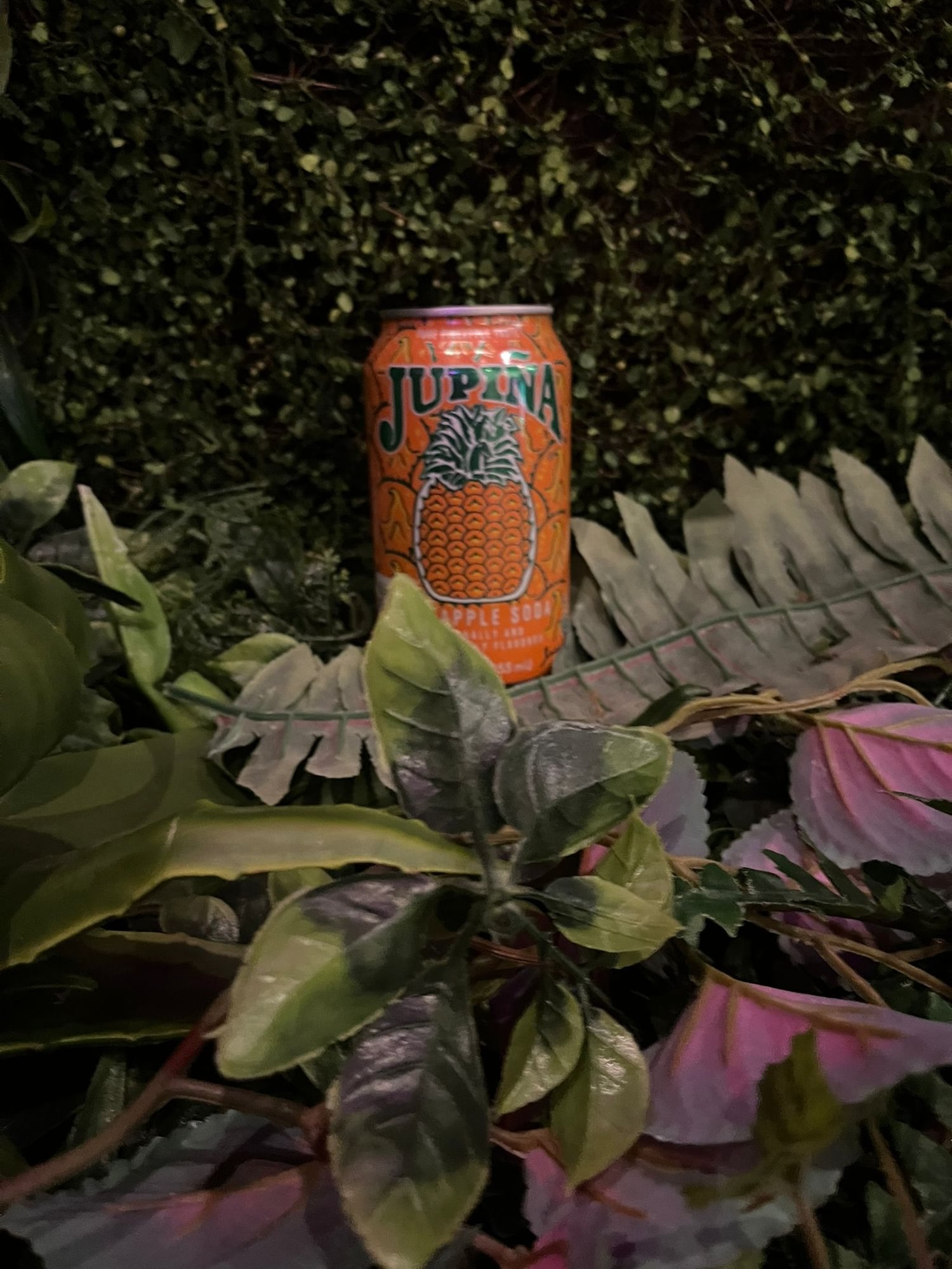 Jupiña