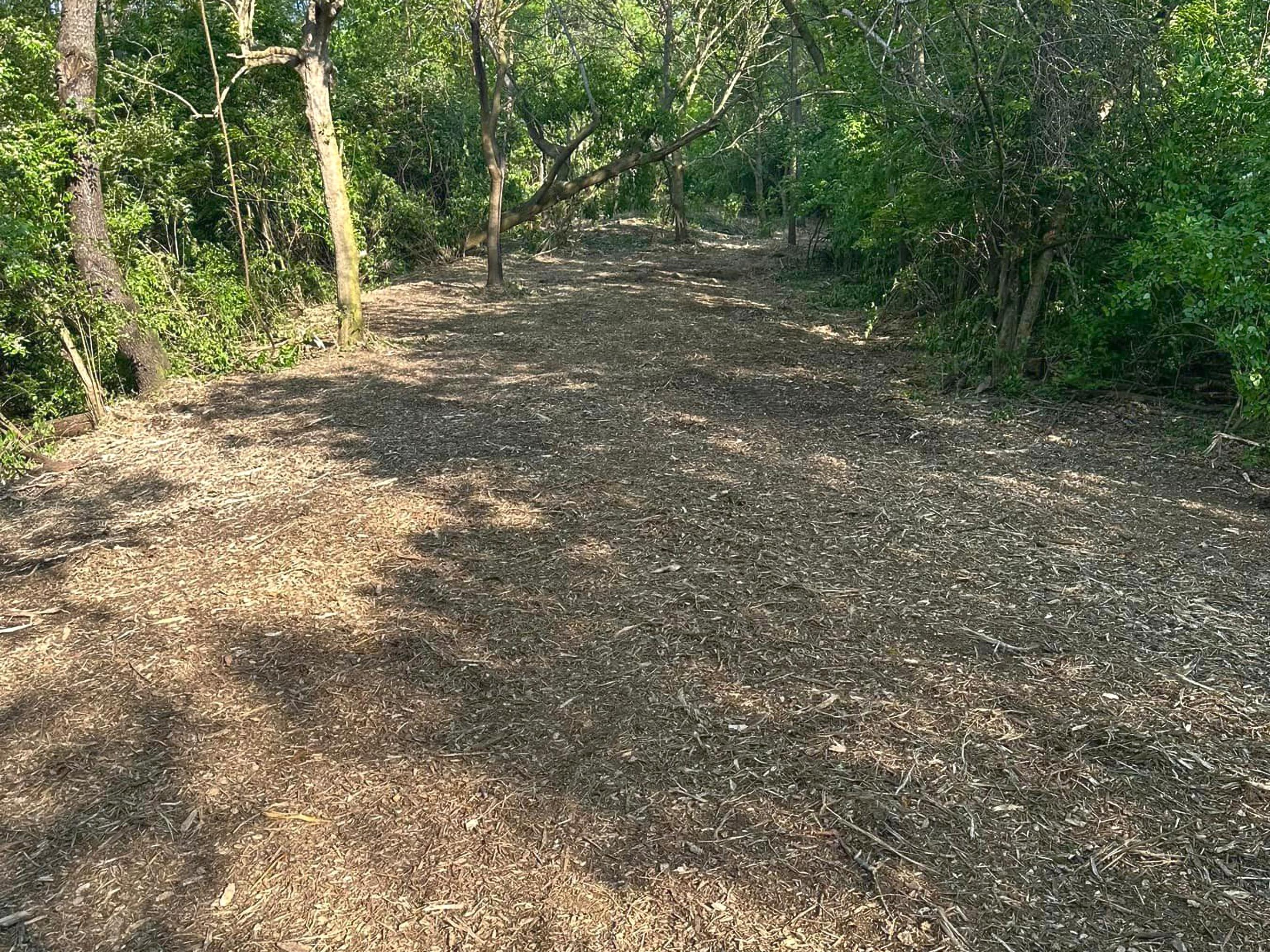 Yarger’s Forestry Services Image