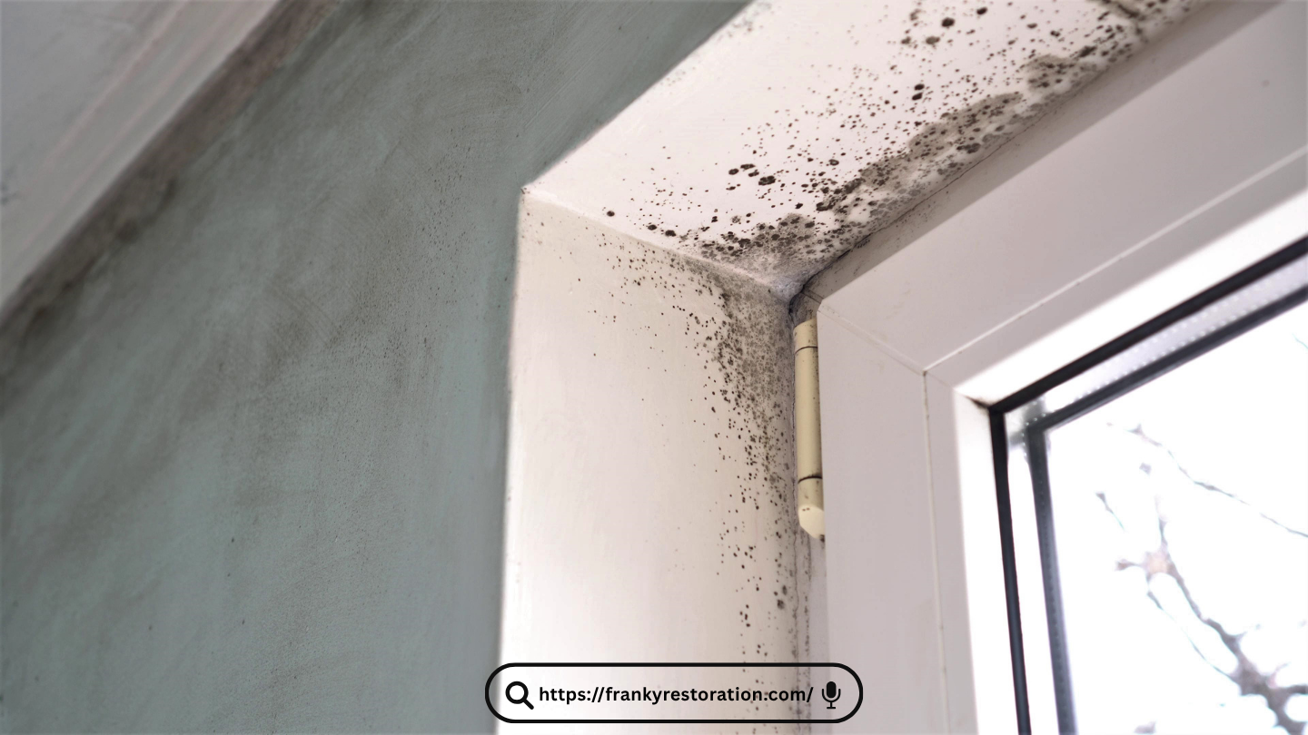 Mold Remediation Miami Lakes