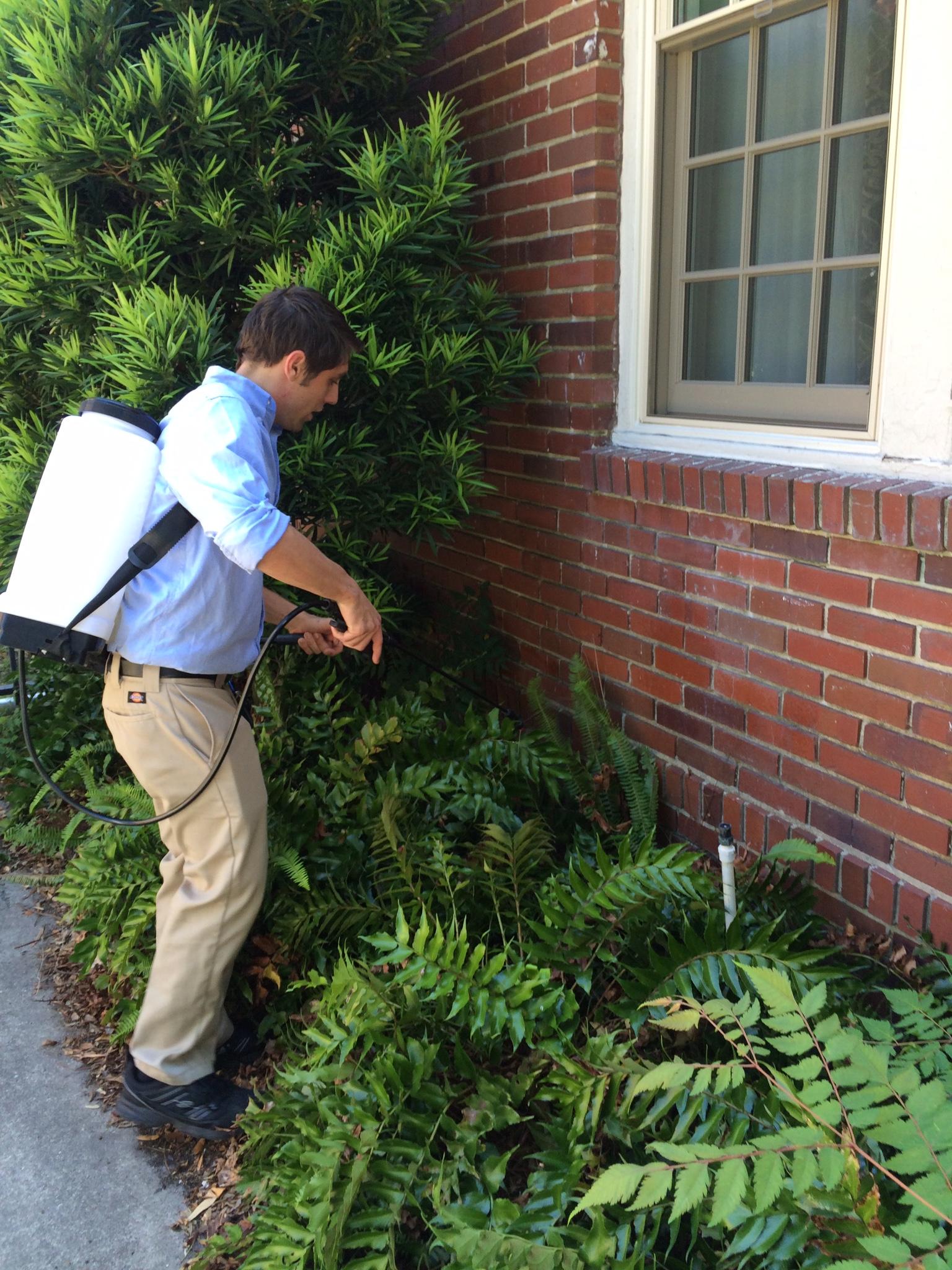 Exterior treatments are the foundation to our Earth Friendly Pest Program.  99% of all pests come from the immediate exterior of your home so it makes sense to set up a preventative pest barrier in these areas.  