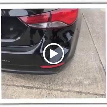 Hail Lions llc (Paintless Dent Repair)