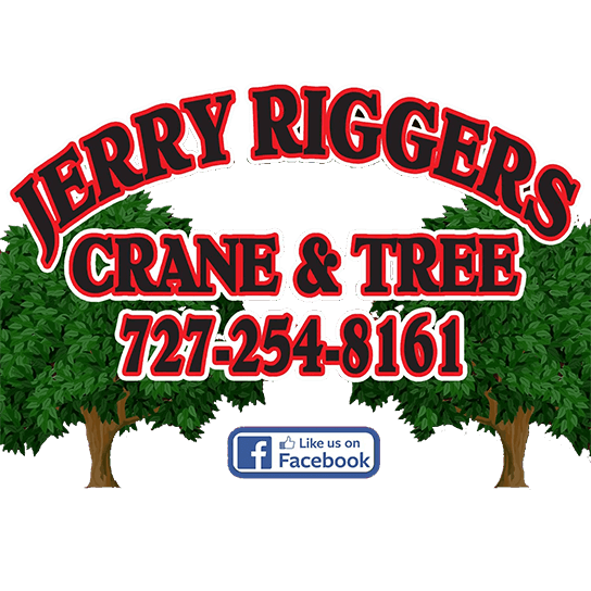 Jerry Riggers Crane and Tree