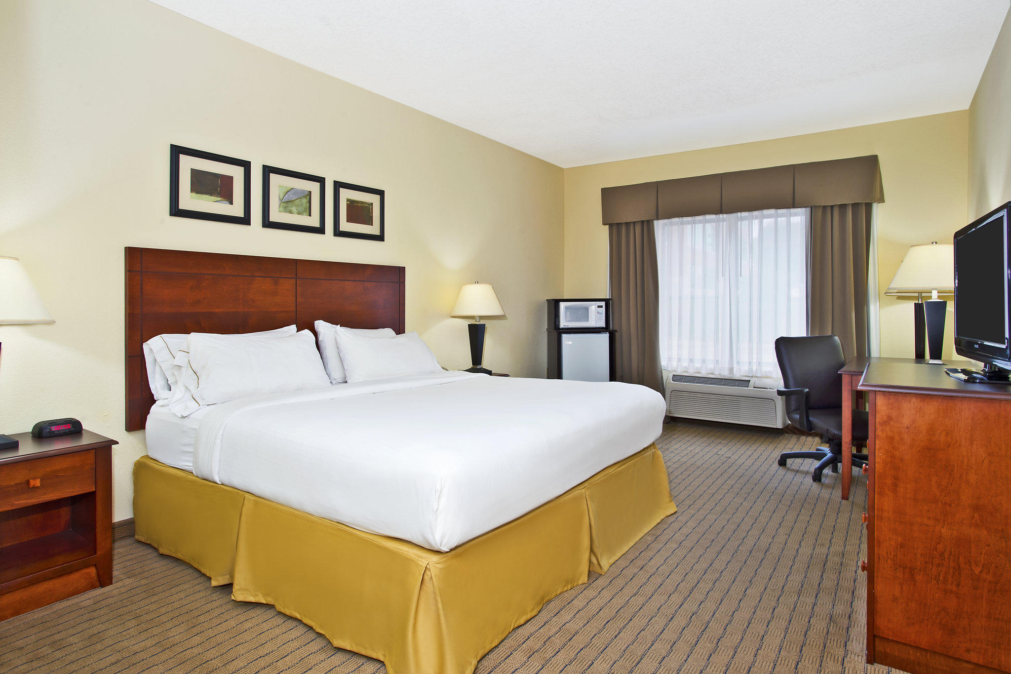 Holiday Inn Express & Suites East Lansing Photo