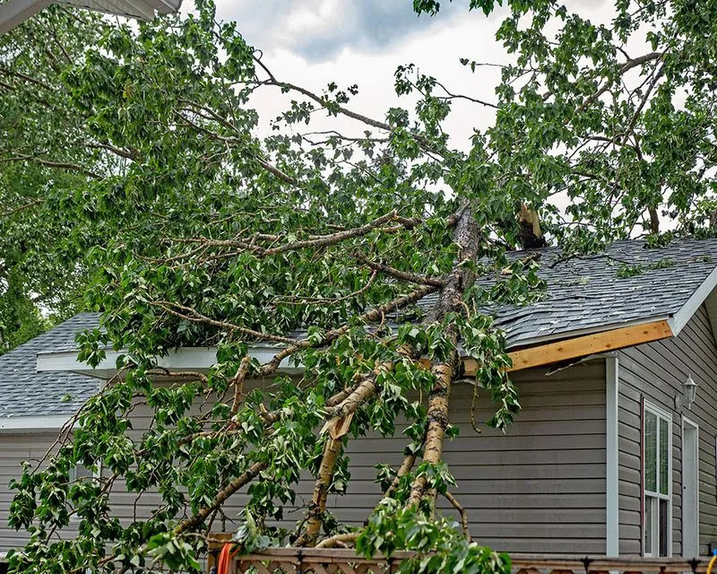Innovative Roofing Image