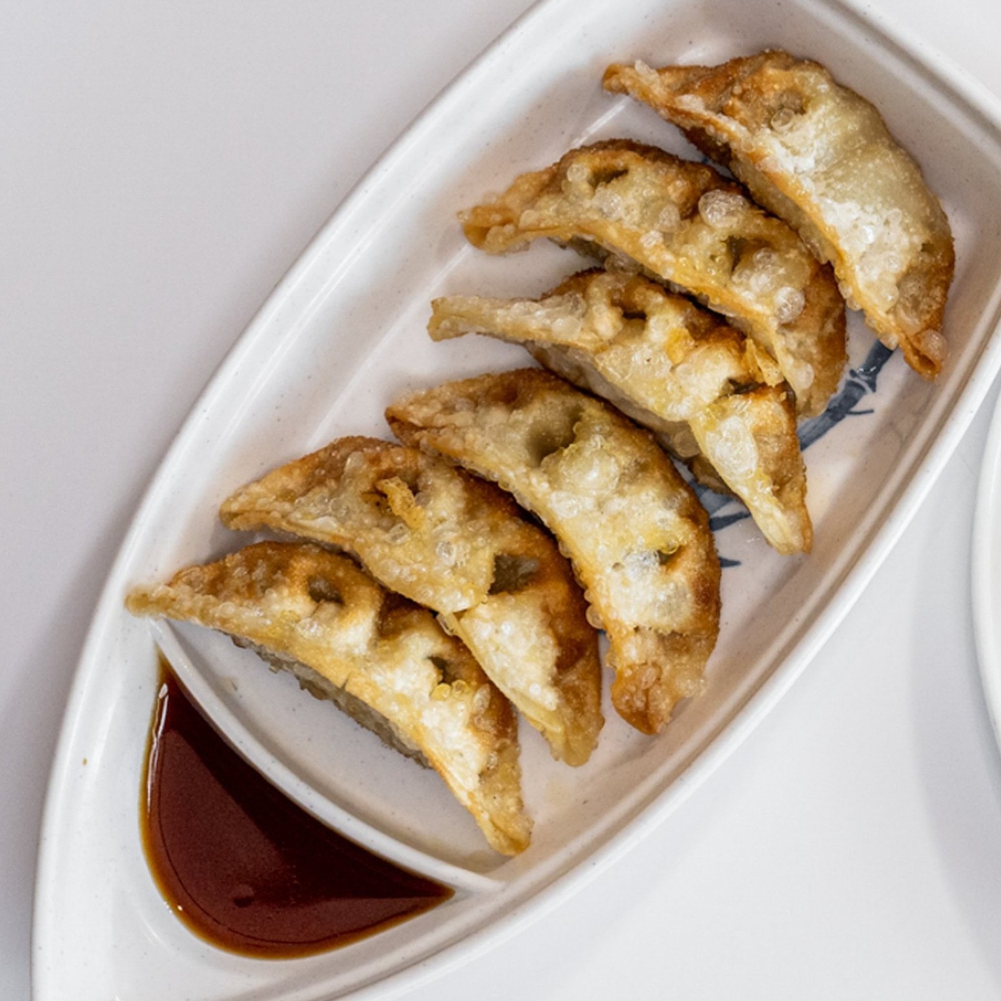 Gyoza (6)