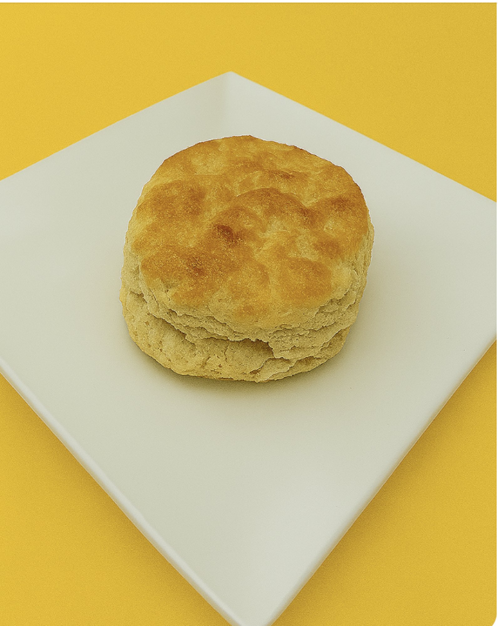 1 Biscuit Plain