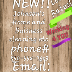 LAURA JOHNSON'S HOME AND BUSINESS CLEANING etc. Logo