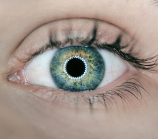 Galerie-Thumbnail