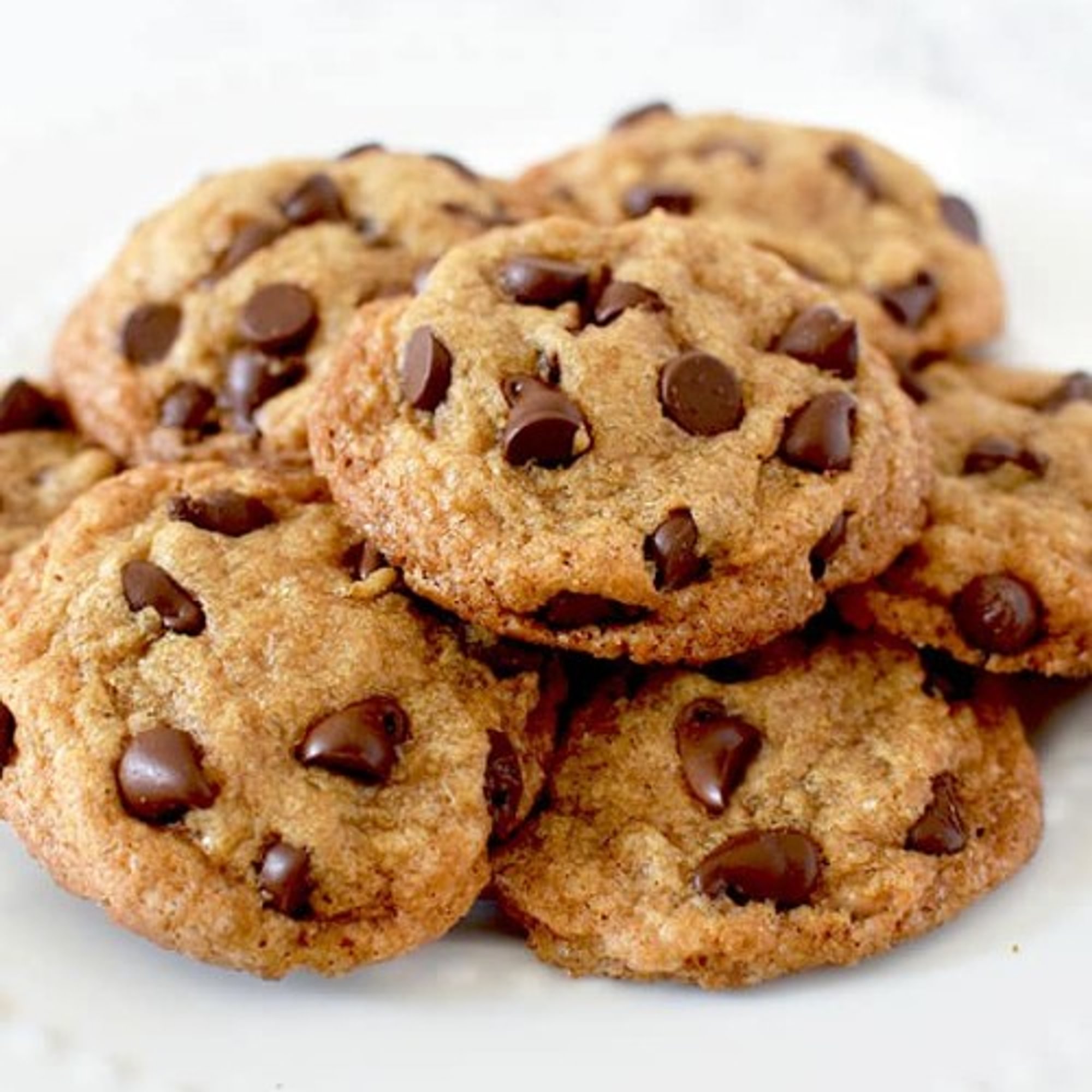Chocolate Chip Cookie