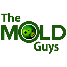 The Mold Guys