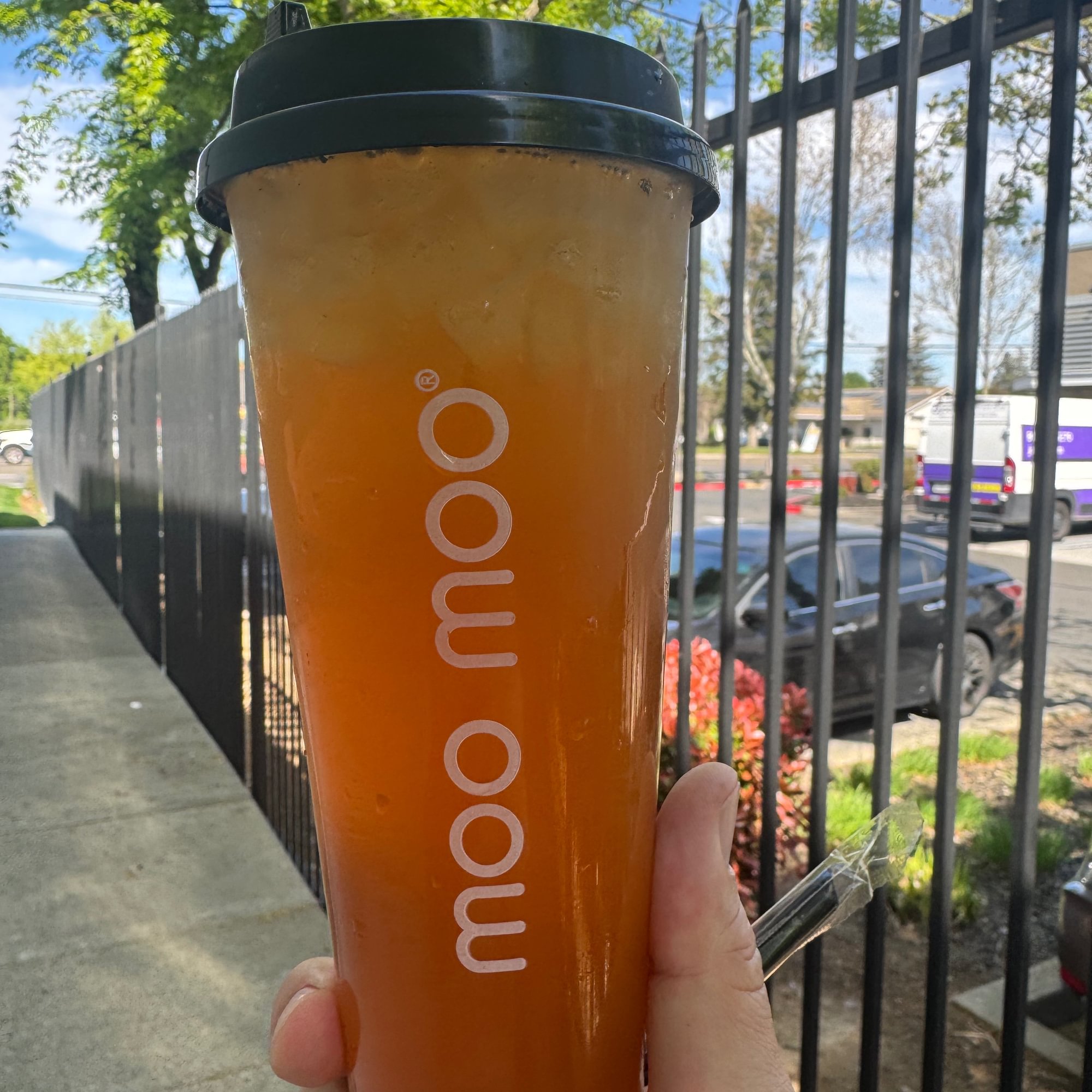 Kumquat Wintermelon / Tra Tac Bi Dao