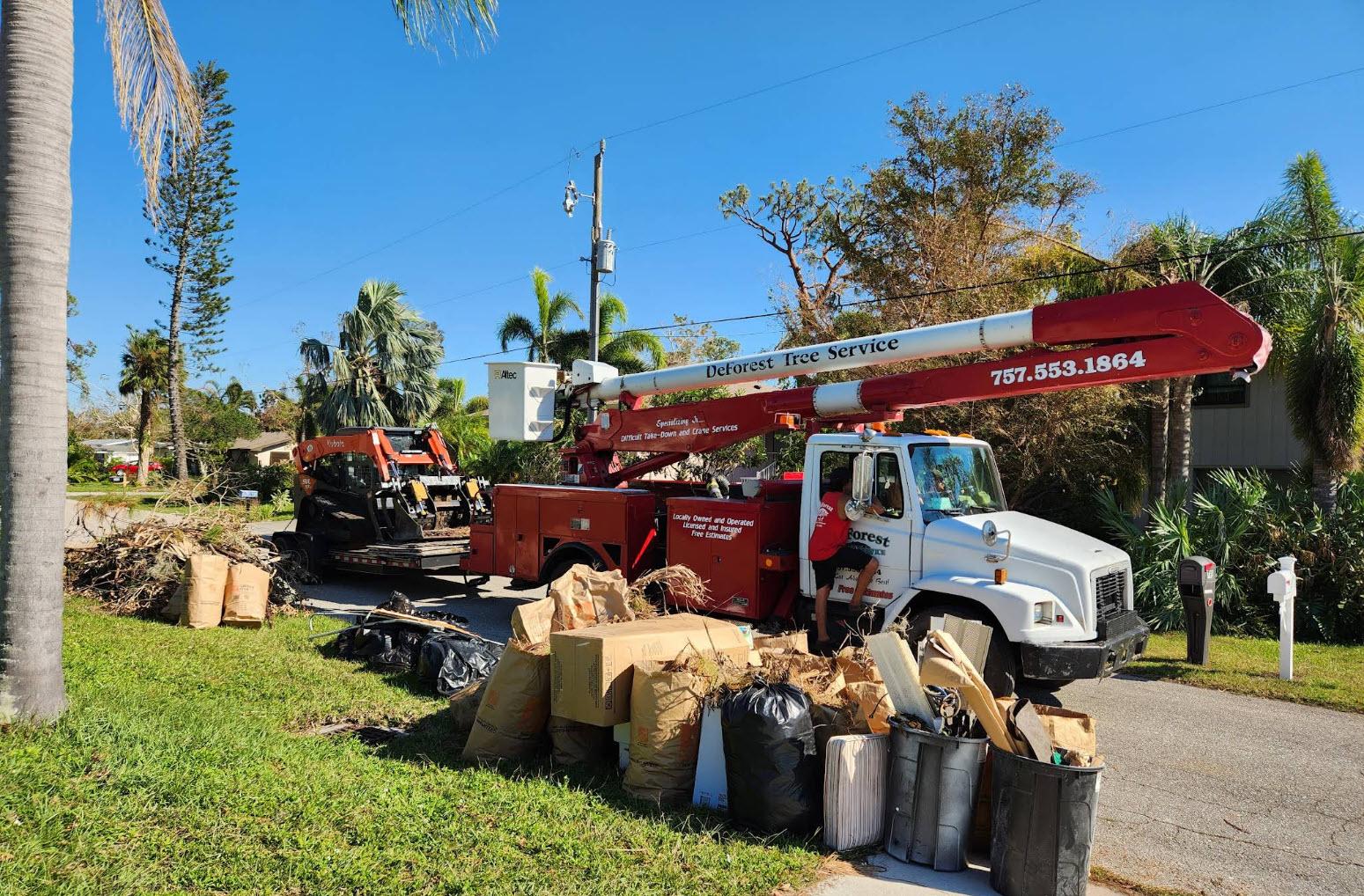 DeForest Tree Service Image