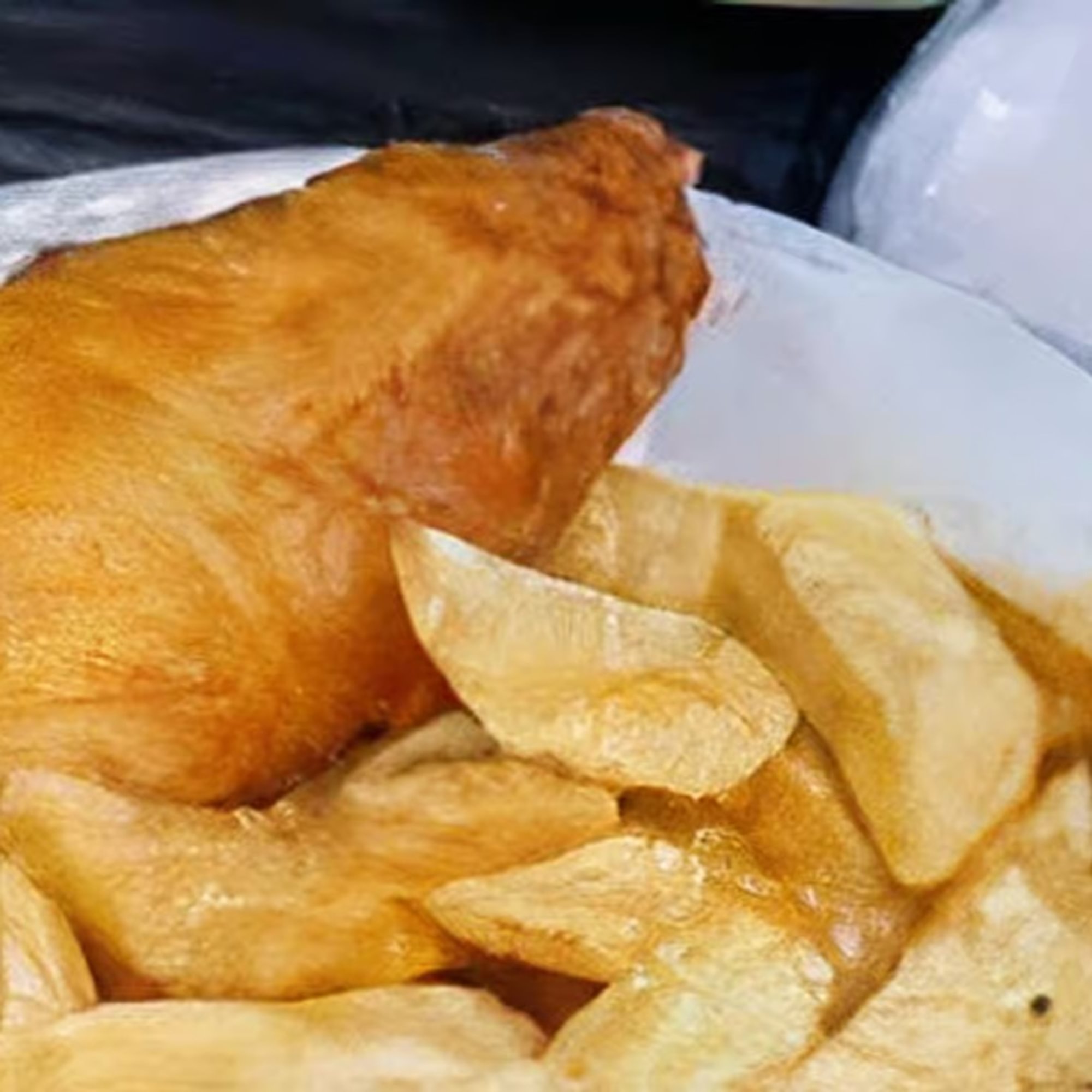 Fish Chips