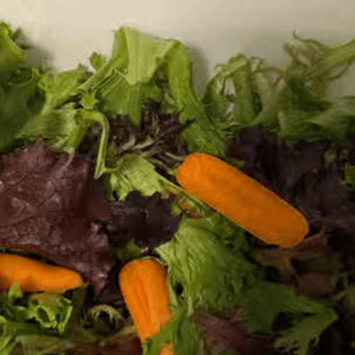 Side Salad