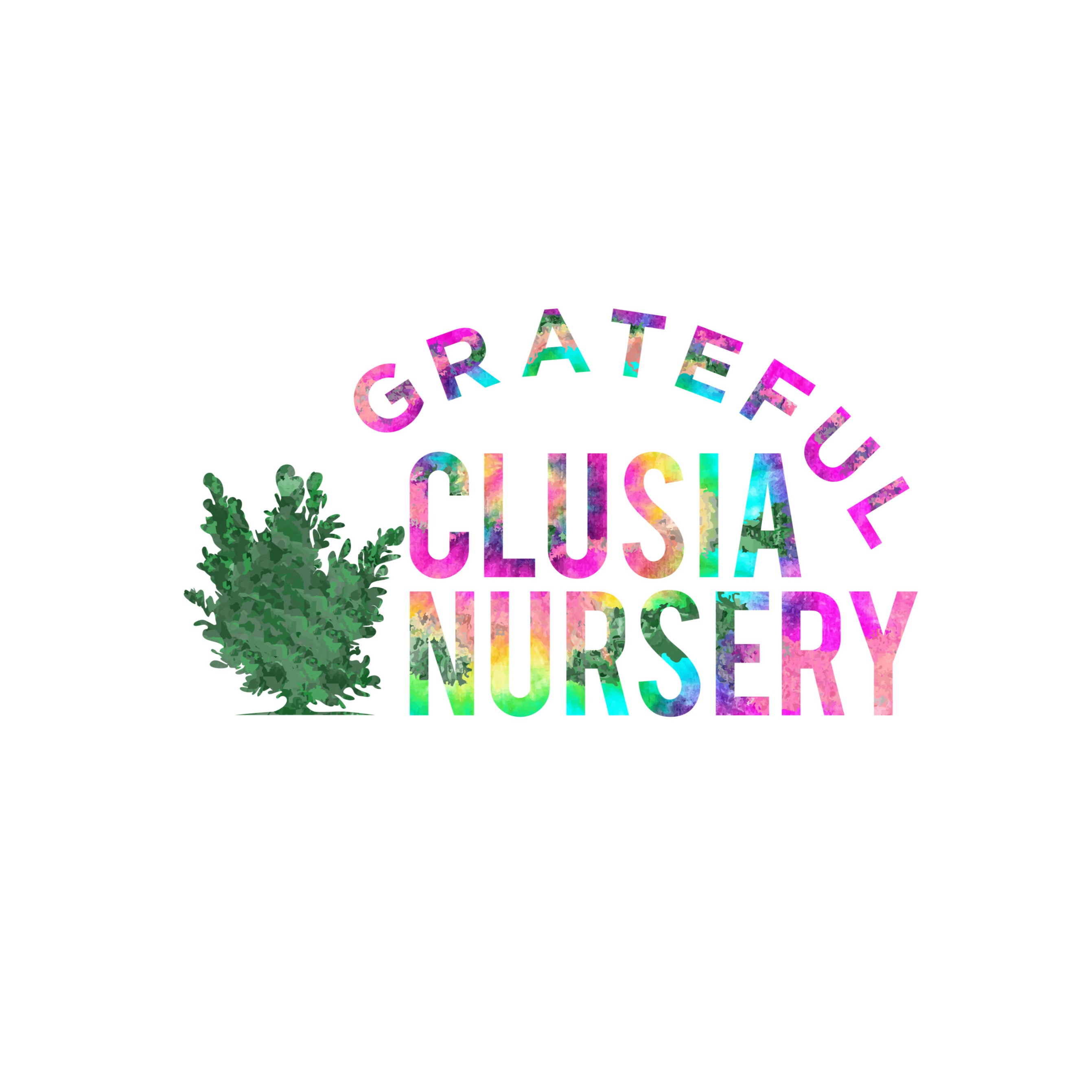 Grateful Clusia Nursery Logo
