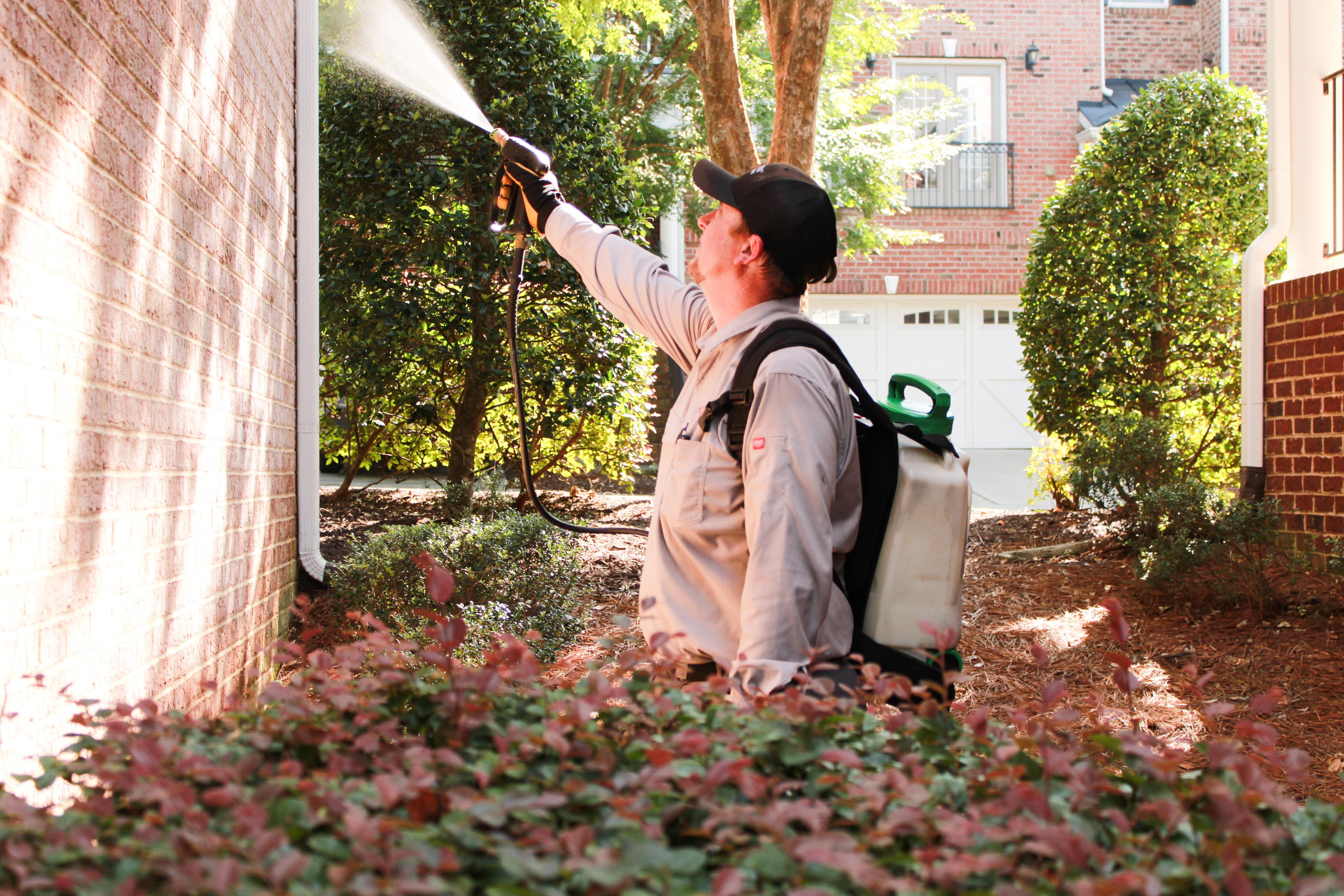 Triangle Pest Control Image