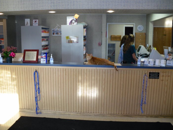 VCA Village Park Animal Hospital and Range Pet Lodge Photo