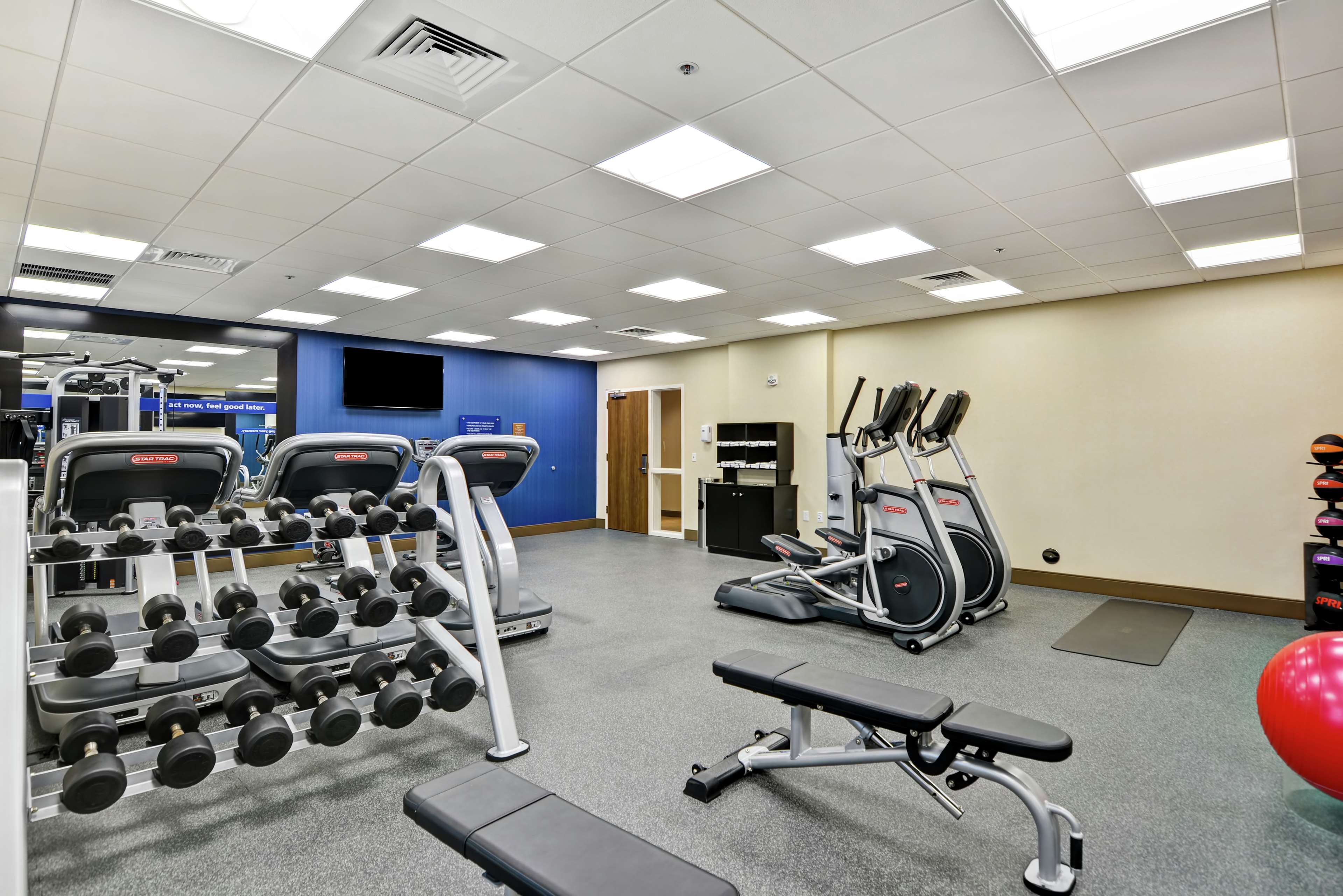 Health club  fitness center  gym