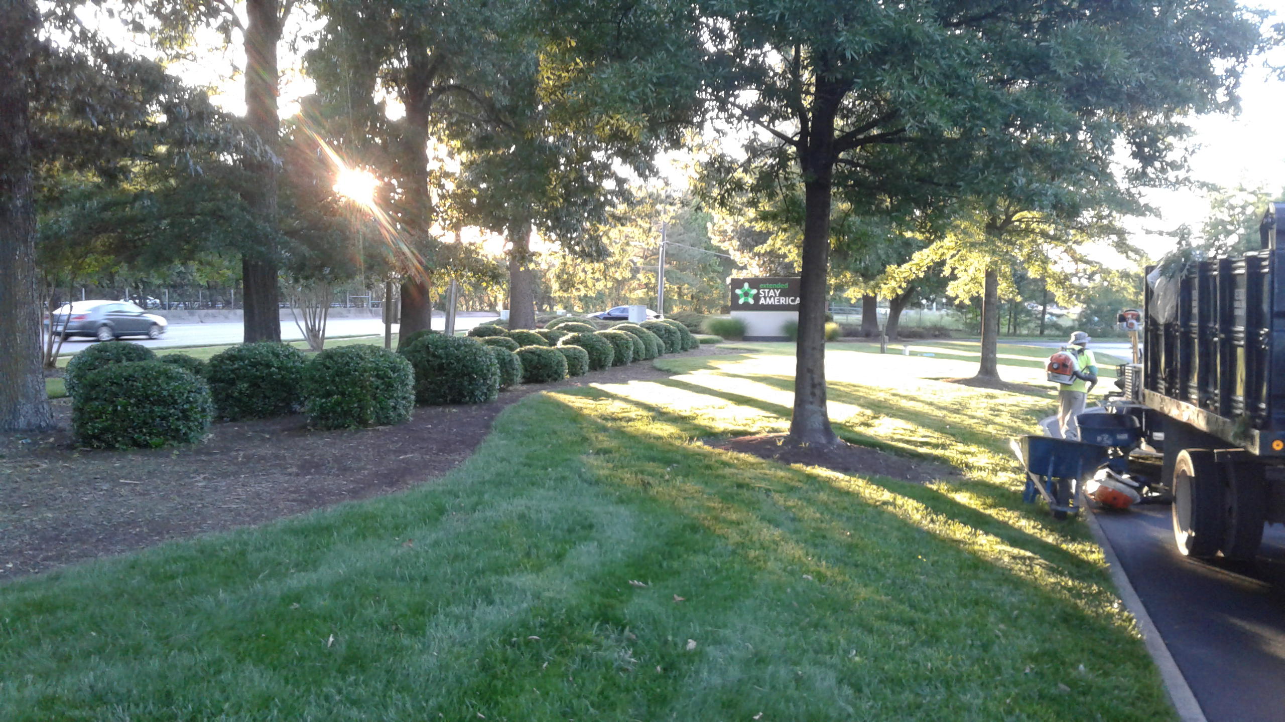 Botanical Landscape Management Photo