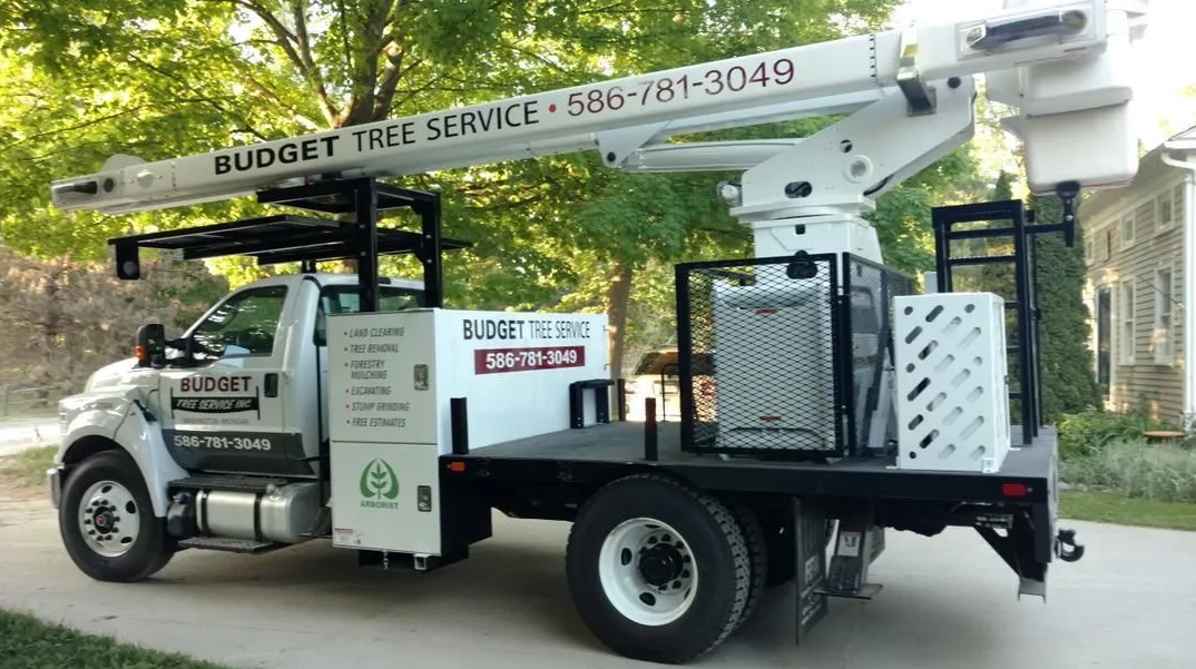 Budget Tree Service Image