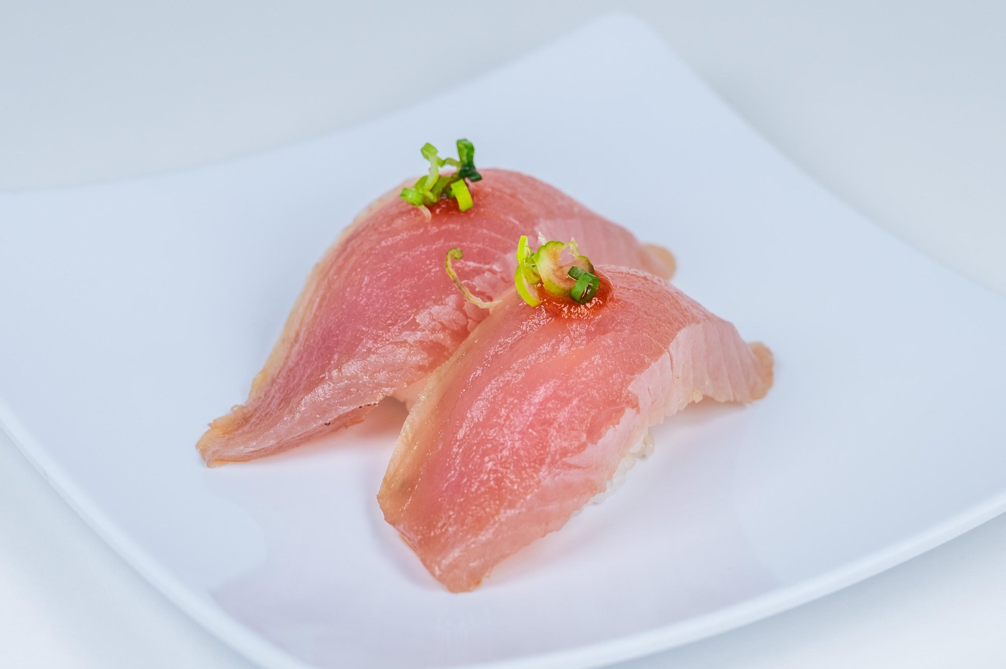 Albacore - White Tuna