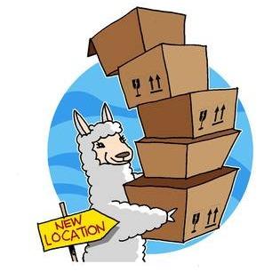 Alpaca and Move LLC Logo