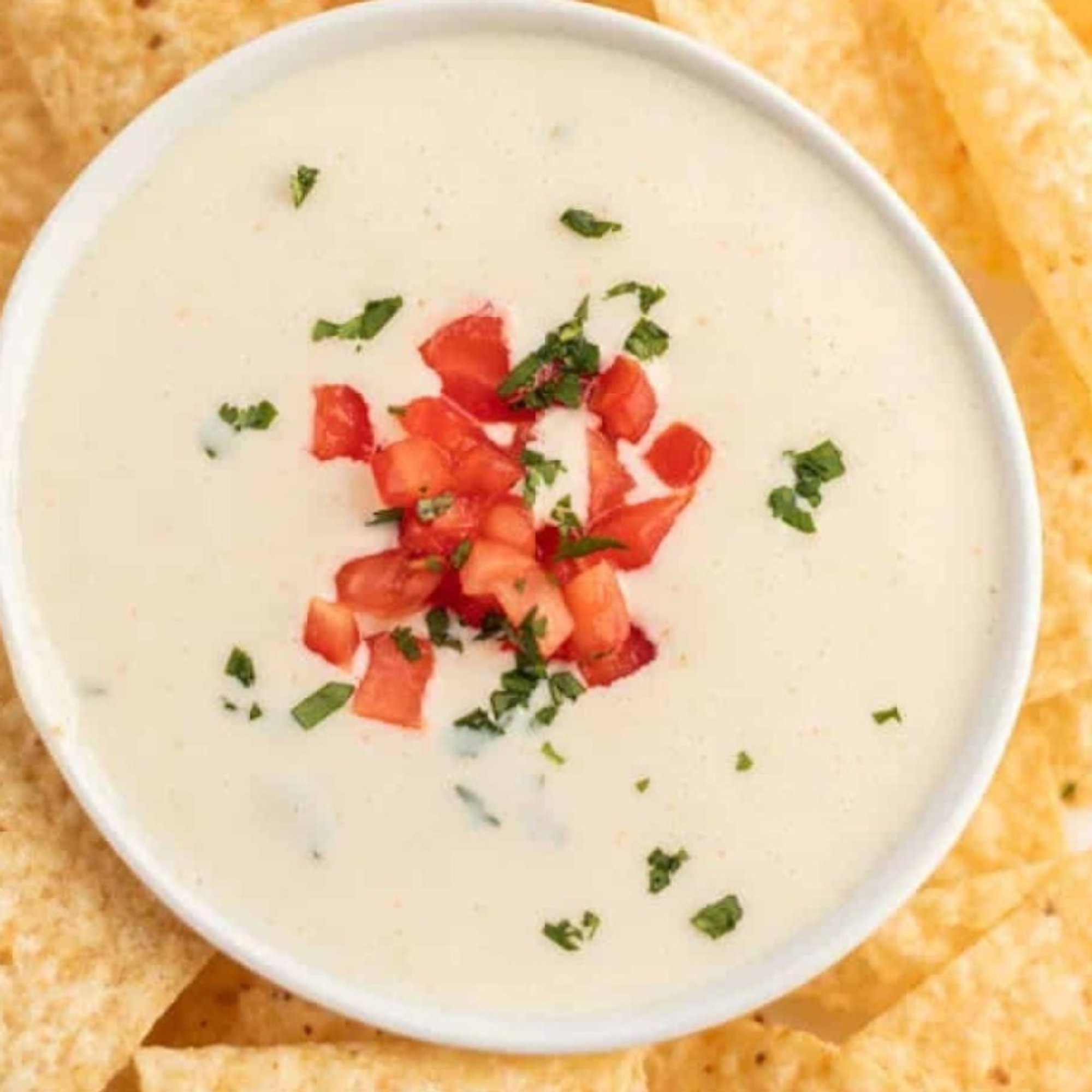 Queso Sauce 4oz