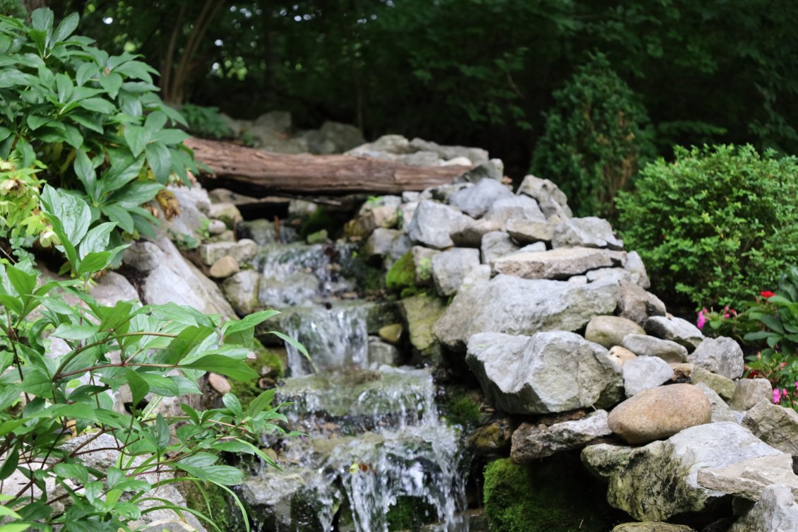 Oakwood Lawn & Landscaping Image