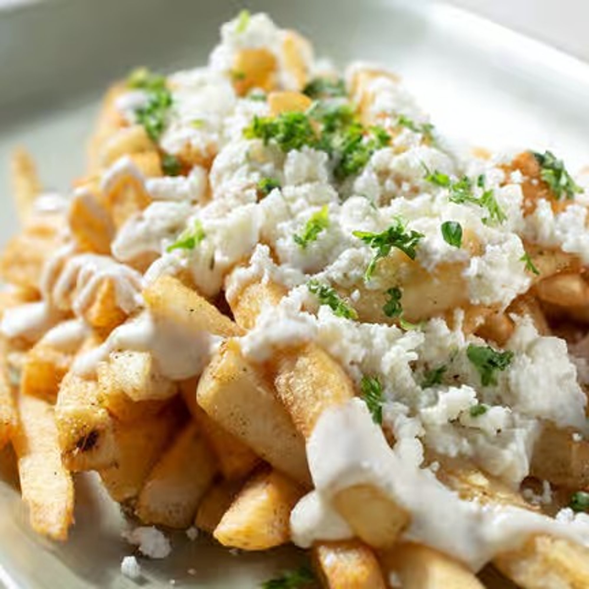 Cheesy Garlic Fries