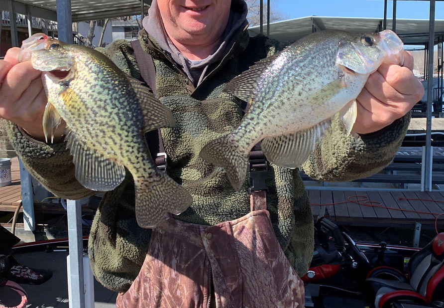 Shelton fishing Guide Ozark Image